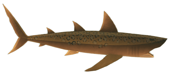 Jaguar Shark - Abyss Roblox fis wiki image
