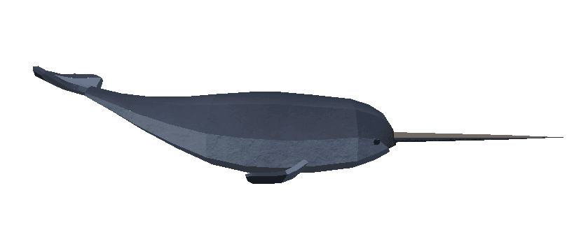 Narwhal - Abyss Roblox fis wiki image