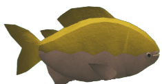 Tambaqui - Abyss Roblox fis wiki image