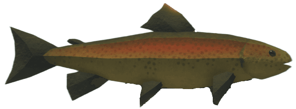 Trout - Abyss Roblox fis wiki image