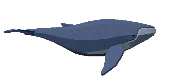 Whale - Abyss Roblox fis wiki image